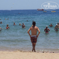 фото из отзыва ID 1236364