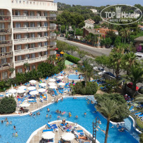 фото из отзыва ID 1236393