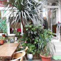 фото из отзыва ID 1236429