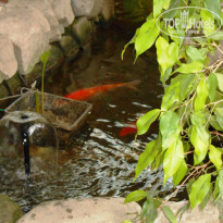 фото из отзыва ID 1236429