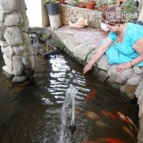 фото из отзыва ID 1236429