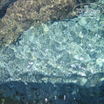 фото из отзыва ID 1236662