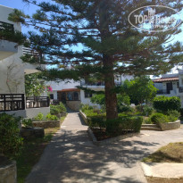 фото из отзыва ID 1236662