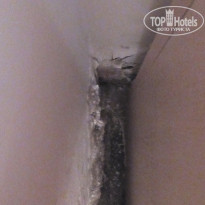 фото из отзыва ID 1236668