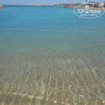 фото из отзыва ID 1236692