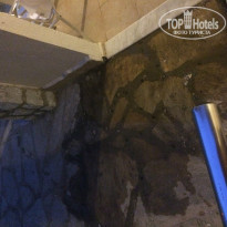 фото из отзыва ID 1236710