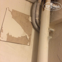 фото из отзыва ID 1236710