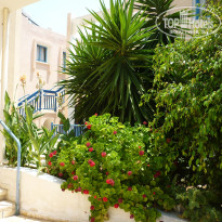 фото из отзыва ID 1236991