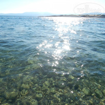 фото из отзыва ID 1236978