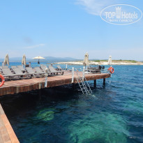 фото из отзыва ID 1236978