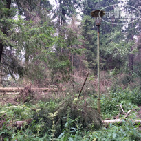 фото из отзыва ID 1237121