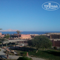 фото из отзыва ID 1237159