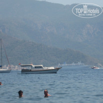 фото из отзыва ID 1237172