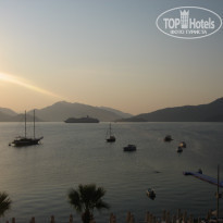 фото из отзыва ID 1237172