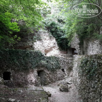 фото из отзыва ID 1237174