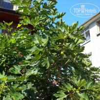 фото из отзыва ID 1237174