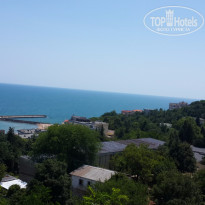 фото из отзыва ID 1237174