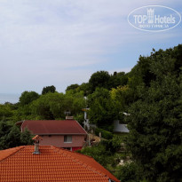 фото из отзыва ID 1237174