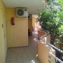 фото из отзыва ID 1237319