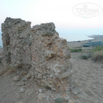 фото из отзыва ID 1237431