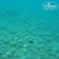 фото из отзыва ID 1237633