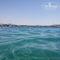 фото из отзыва ID 1237677