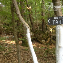 фото из отзыва ID 1237683