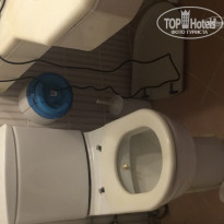 фото из отзыва ID 1238045