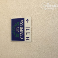 фото из отзыва ID 1238159