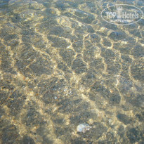 фото из отзыва ID 1235569