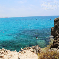 фото из отзыва ID 1238247