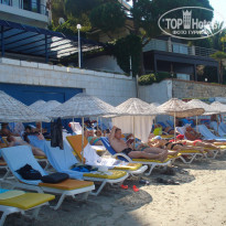 фото из отзыва ID 1238440