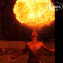 фото из отзыва ID 1238573