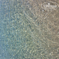 фото из отзыва ID 1238663