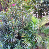 фото из отзыва ID 1238678