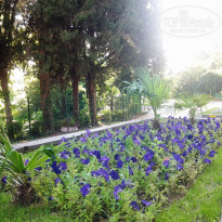 фото из отзыва ID 1238678