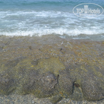 фото из отзыва ID 1238836