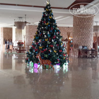 фото из отзыва ID 1238901