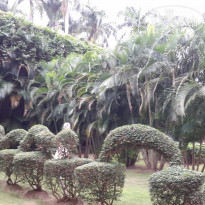 фото из отзыва ID 1238901