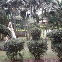 фото из отзыва ID 1238901