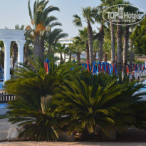 фото из отзыва ID 1238945