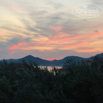 фото из отзыва ID 1239191