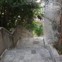 фото из отзыва ID 1239191