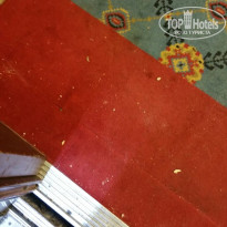 фото из отзыва ID 1239483