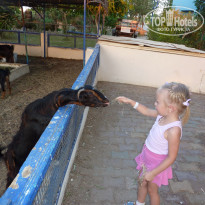 фото из отзыва ID 1239530