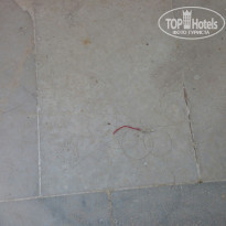 фото из отзыва ID 1239547