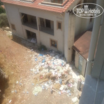 фото из отзыва ID 1239554