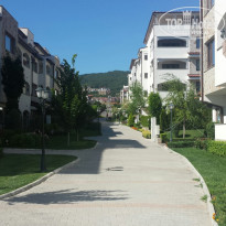 фото из отзыва ID 1239699