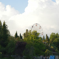 фото из отзыва ID 1239713