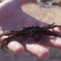 фото из отзыва ID 1239825